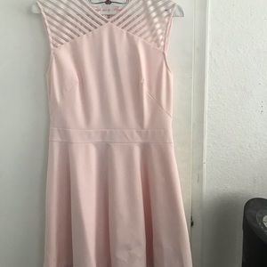 Ted Baker Fit and Flare Dress